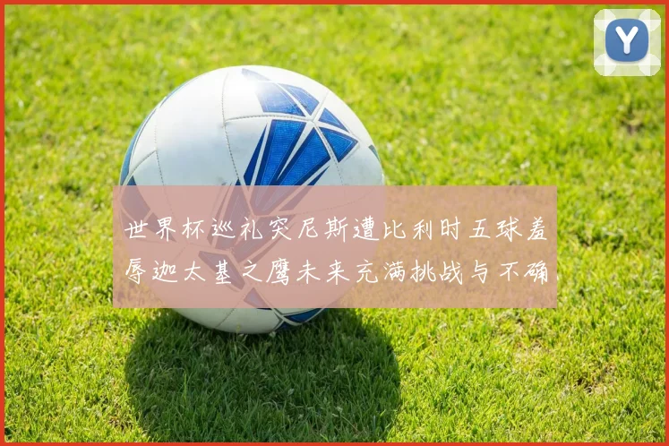 世界杯巡礼突尼斯遭比利时五球羞辱迦太基之鹰未来充满挑战与不确定性